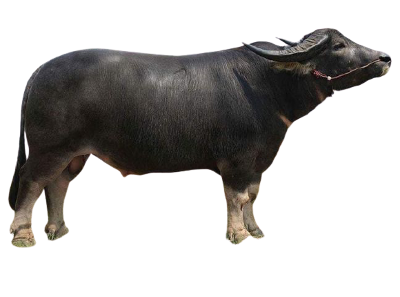 165546166